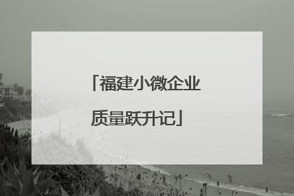 福建小微企业质量跃升记
