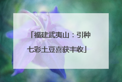 福建武夷山：引种七彩土豆喜获丰收