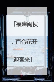 福建闽侯：百合花开迎客来