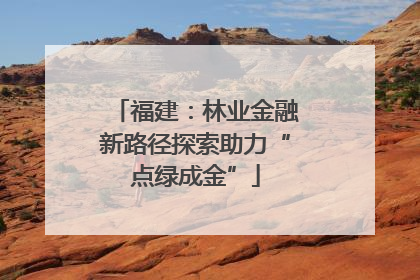 福建：林业金融新路径探索助力“点绿成金”