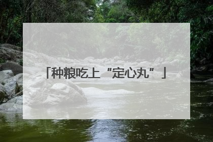 种粮吃上“定心丸”