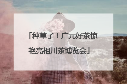 种草了！广元好茶惊艳亮相川茶博览会