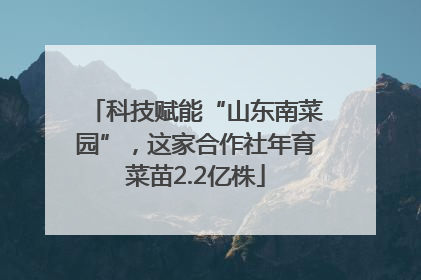 科技赋能“山东南菜园”，这家合作社年育菜苗2.2亿株