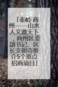 秦岭·商州——山水人文邀天下，商州区委副书记、区长支朝奇推介5个重点招商项目