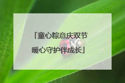 童心粽意庆双节 暖心守护伴成长