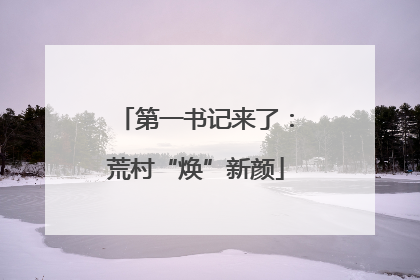 第一书记来了：荒村“焕”新颜