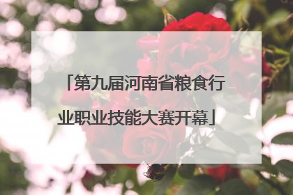 第九届河南省粮食行业职业技能大赛开幕