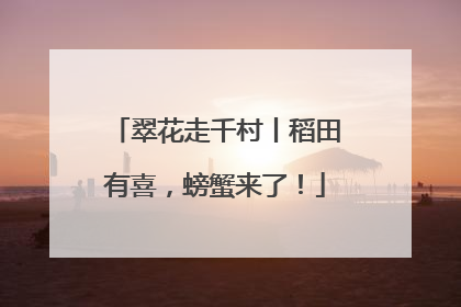 翠花走千村丨稻田有喜，螃蟹来了！