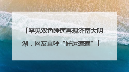 罕见双色睡莲再现济南大明湖，网友直呼“好运莲莲”