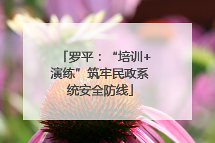 罗平：“培训+演练”筑牢民政系统安全防线