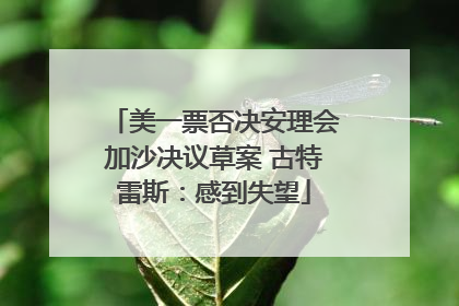美一票否决安理会加沙决议草案 古特雷斯：感到失望
