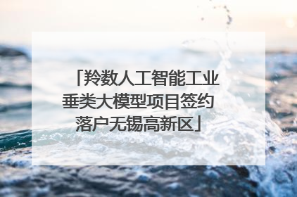 羚数人工智能工业垂类大模型项目签约落户无锡高新区