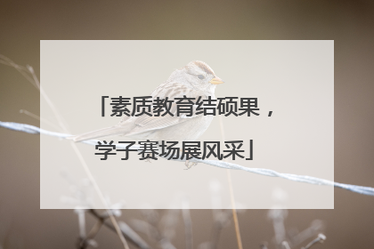 素质教育结硕果，学子赛场展风采