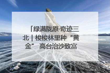 绿满陇原·奇迹三北｜梭梭林里种“黄金” 高台治沙致富很“从容”