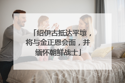 绍伊古抵达平壤，将与金正恩会面，并缅怀朝鲜战士