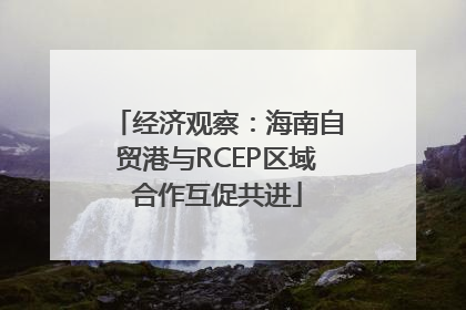 经济观察：海南自贸港与RCEP区域合作互促共进