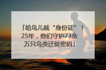 给鸟儿戴“身份证”！25年，他们守护73余万只鸟类迁徙密码