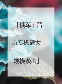 俄军：普京专机遭大规模袭击
