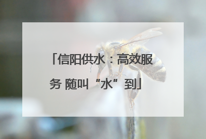 信阳供水：高效服务 随叫“水”到