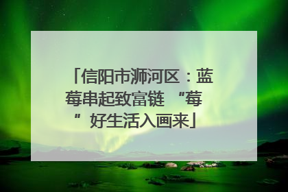 信阳市浉河区：蓝莓串起致富链 “莓”好生活入画来
