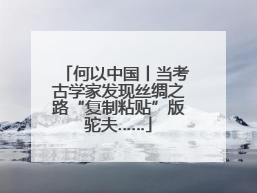 何以中国丨当考古学家发现丝绸之路“复制粘贴”版驼夫……