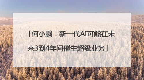 何小鹏：新一代AI可能在未来3到4年间催生超级业务