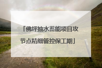 佛坪抽水蓄能项目攻节点精细管控保工期