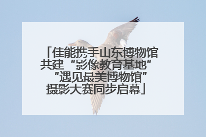 佳能携手山东博物馆共建“影像教育基地” “遇见最美博物馆”摄影大赛同步启幕