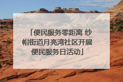 便民服务零距离 纱帽街道月亮湾社区开展便民服务日活动
