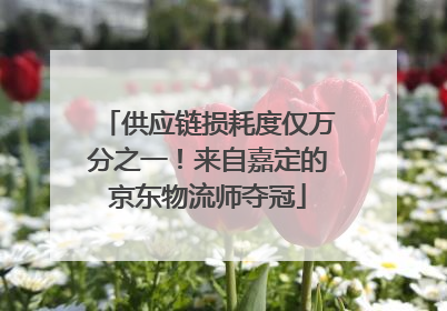 供应链损耗度仅万分之一！来自嘉定的京东物流师夺冠