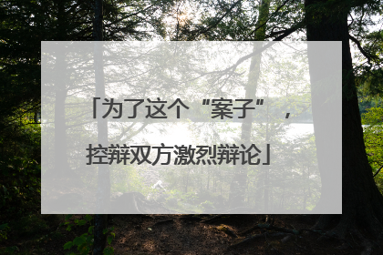 为了这个“案子”，控辩双方激烈辩论