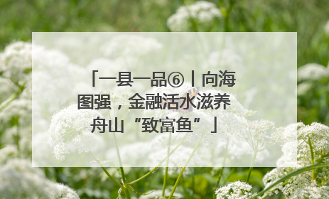一县一品⑥丨向海图强，金融活水滋养舟山“致富鱼”