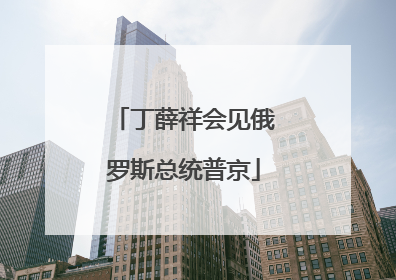 丁薛祥会见俄罗斯总统普京