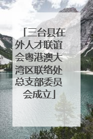 三台县在外人才联谊会粤港澳大湾区联络处总支部委员会成立
