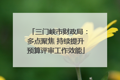 三门峡市财政局：多点聚焦 持续提升预算评审工作效能