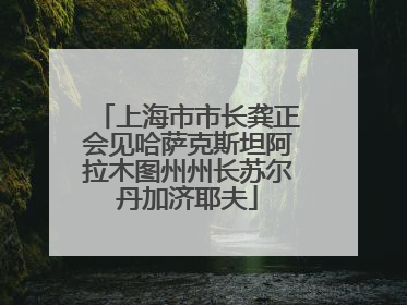 上海市市长龚正会见哈萨克斯坦阿拉木图州州长苏尔丹加济耶夫