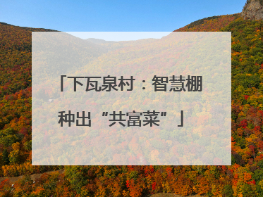 下瓦泉村：智慧棚种出“共富菜”