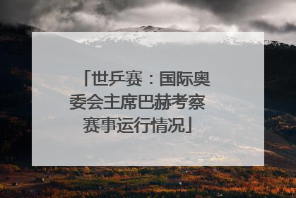 世乒赛：国际奥委会主席巴赫考察赛事运行情况