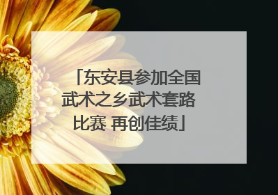 东安县参加全国武术之乡武术套路比赛 再创佳绩