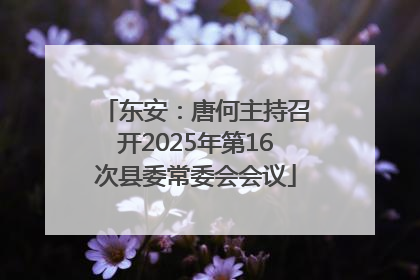 东安：唐何主持召开2025年第16次县委常委会会议