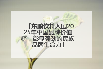 东鹏饮料入围2025年中国品牌价值榜，彰显强劲的民族品牌生命力