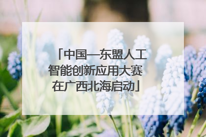 中国—东盟人工智能创新应用大赛在广西北海启动