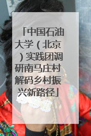中国石油大学（北京）实践团调研南马庄村解码乡村振兴新路径