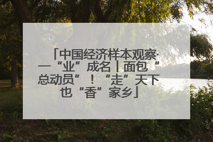 中国经济样本观察·一“业”成名丨面包“总动员”！“走”天下也“香”家乡