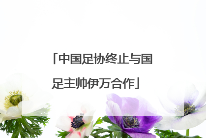 中国足协终止与国足主帅伊万合作