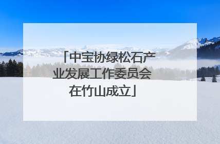 中宝协绿松石产业发展工作委员会在竹山成立