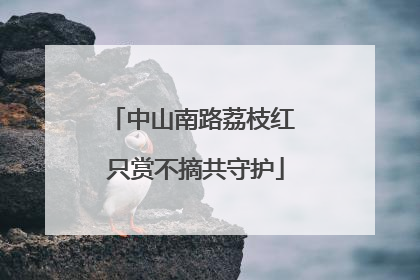 中山南路荔枝红 只赏不摘共守护