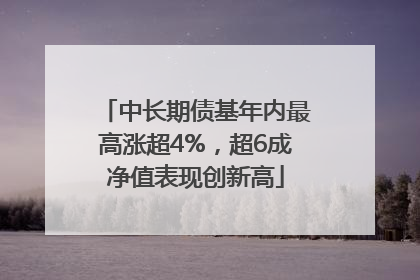 中长期债基年内最高涨超4%，超6成净值表现创新高