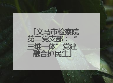 义马市检察院第二党支部：“三维一体”党建融合护民生