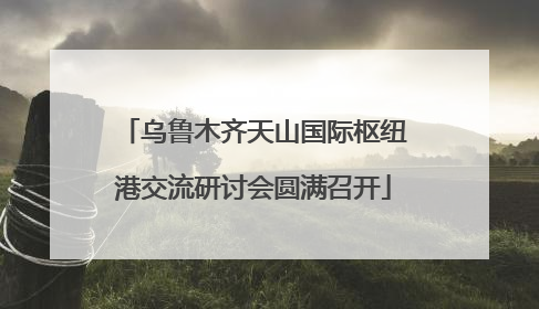 乌鲁木齐天山国际枢纽港交流研讨会圆满召开